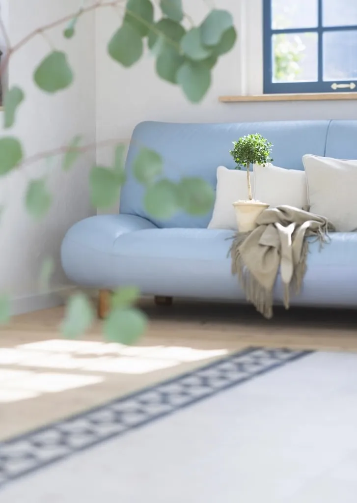 Light blue sofa with cushions in a sunny room